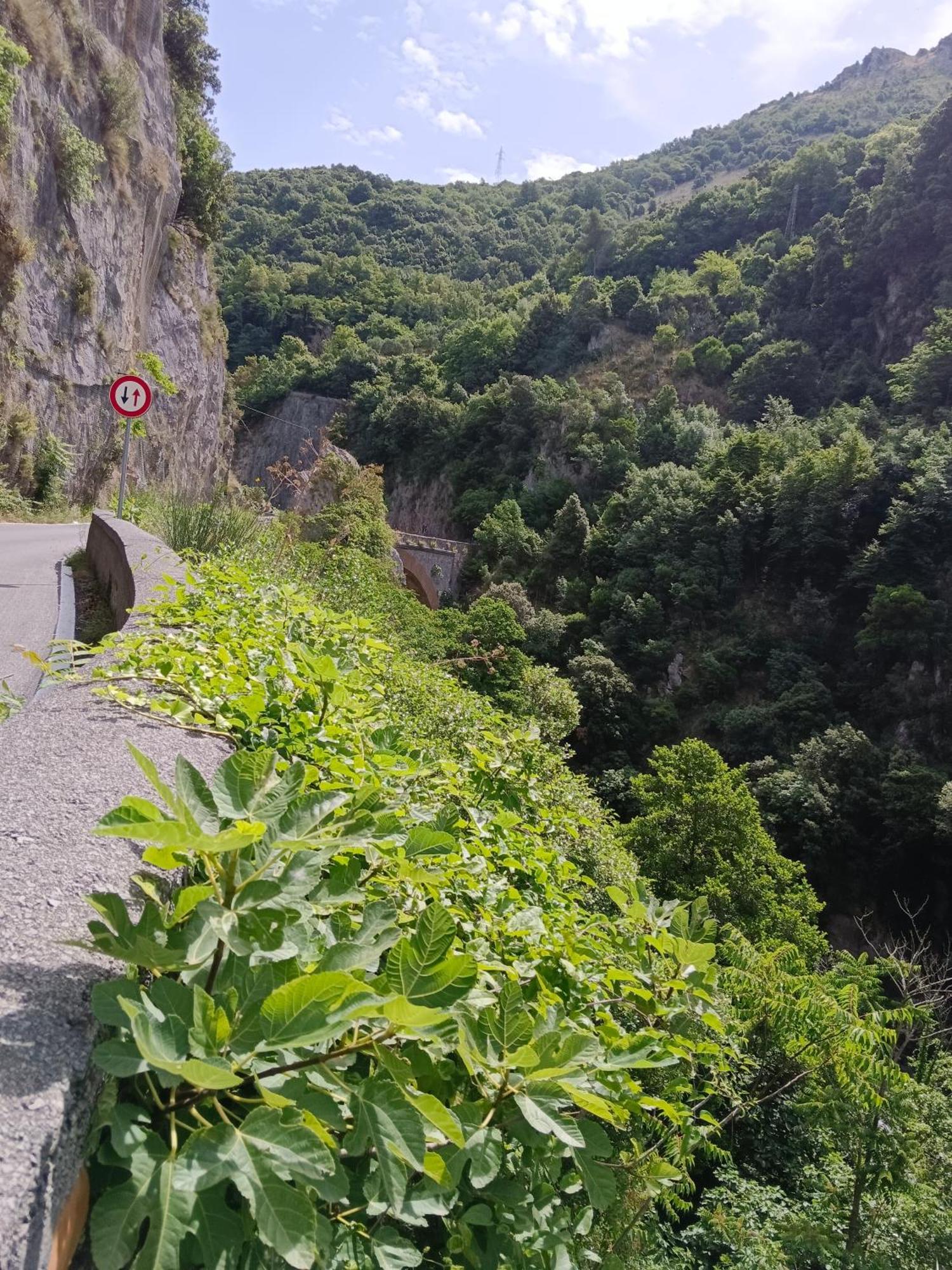 Villa Aurea Papasidero Eksteriør billede