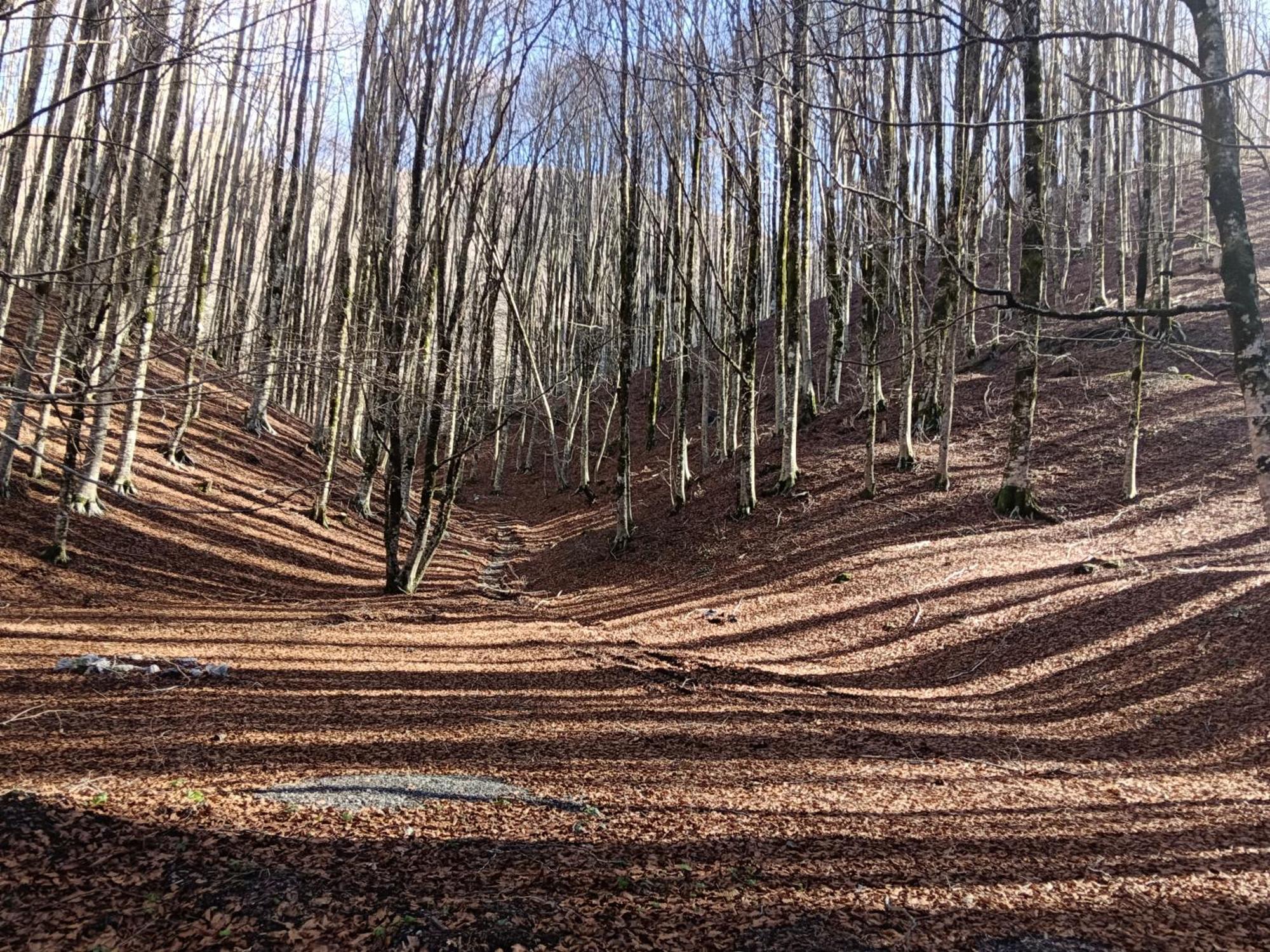 Villa Aurea Papasidero Eksteriør billede